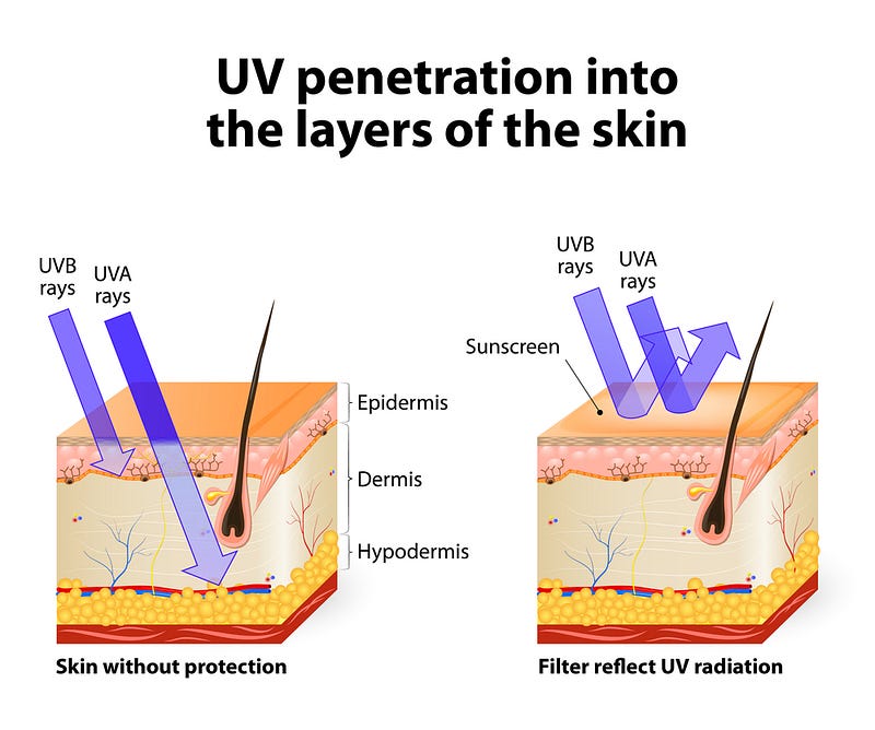 Mechanism of UV filters