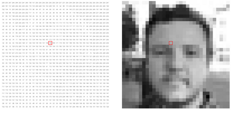 Matrix representation of gray-scale pixels