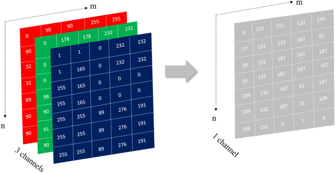 Comparison of RGB and gray-scale images