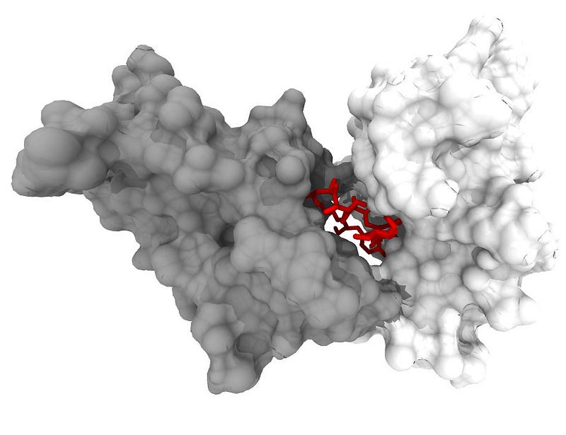 RapaLink1 and its potential benefits in research