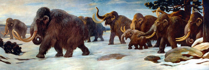 Herd of woolly mammoths by Charles Knight