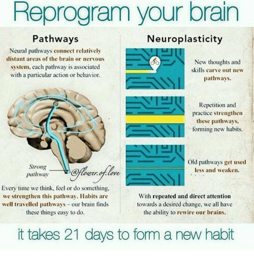 Visual representation of neuroplasticity