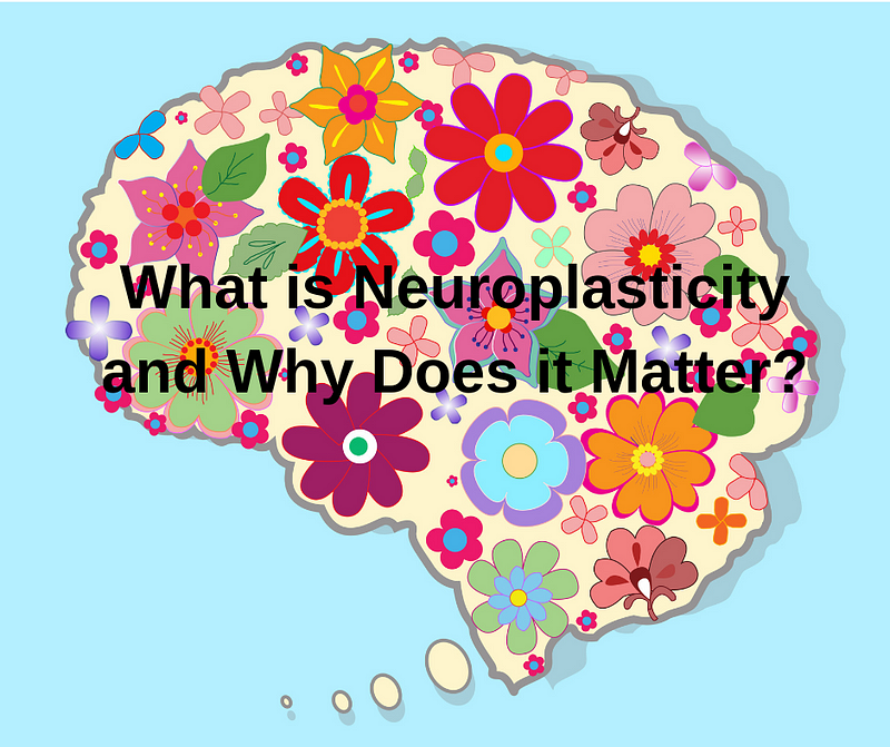 Illustration of brain adaptability