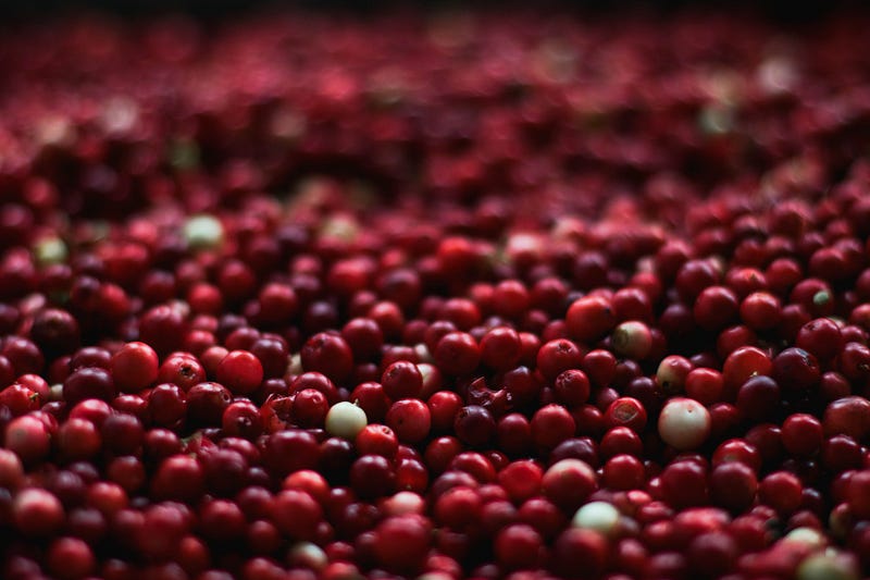 Fresh cranberries, a native fruit