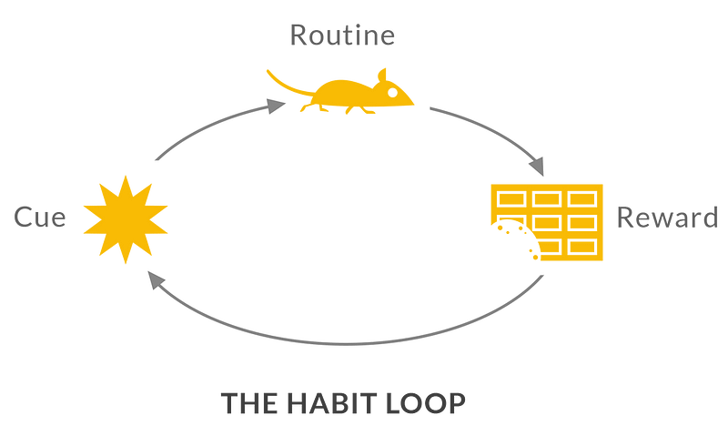 The Habit Loop: Cue, Routine, Reward