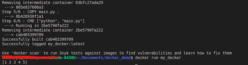 Output of the running Docker container