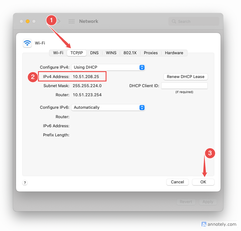 Finding the local IP address on Mac