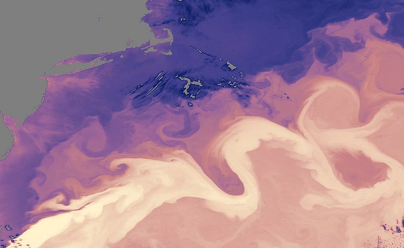 Gulf Stream Temperature Distribution