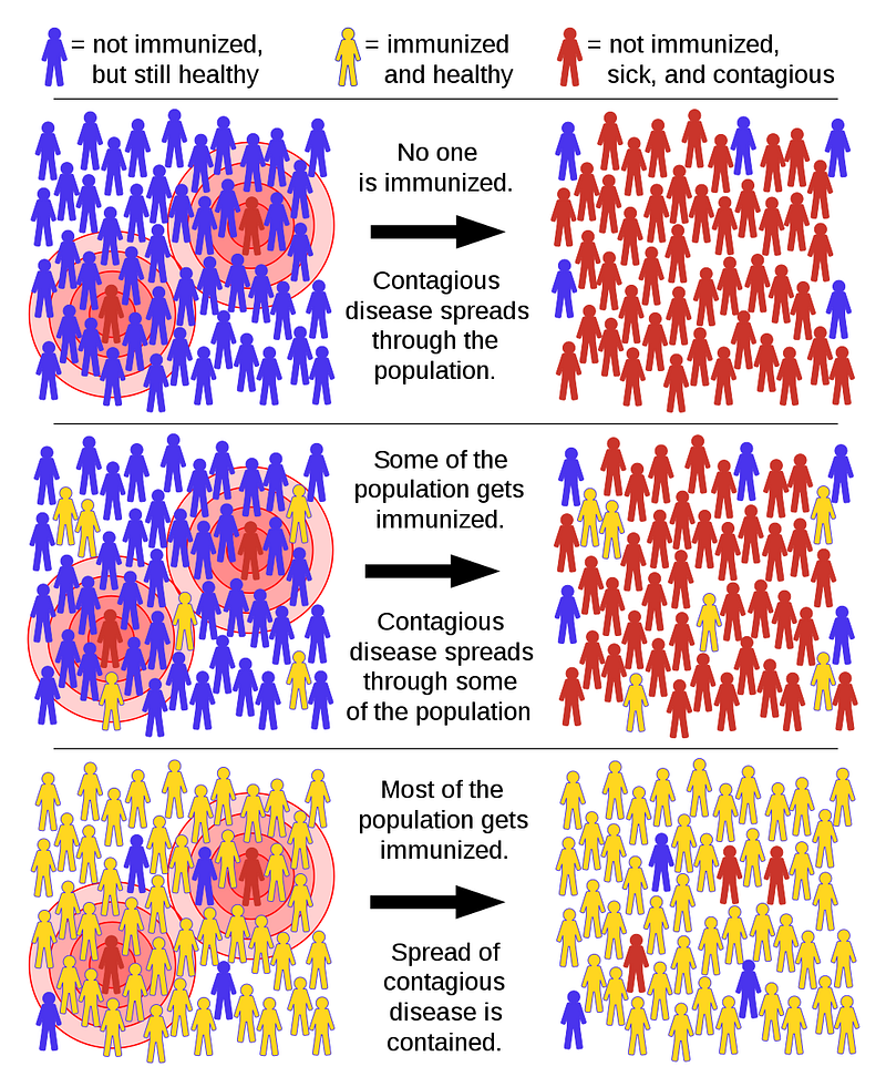 The Importance of Herd Immunity