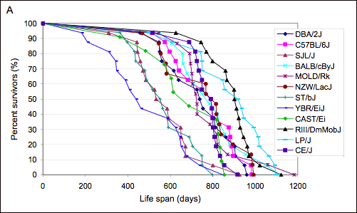 Survival curves of mouse strains in longevity research