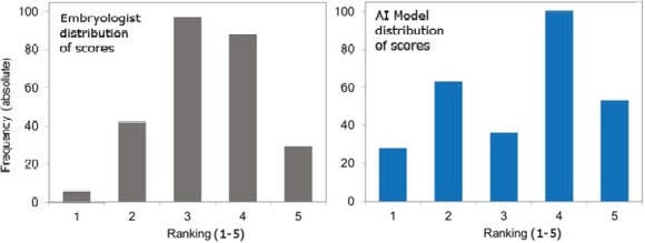 AI-Enhanced Embryo Selection Process