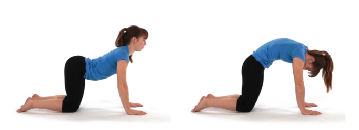 Stretching exercise for spinal flexibility