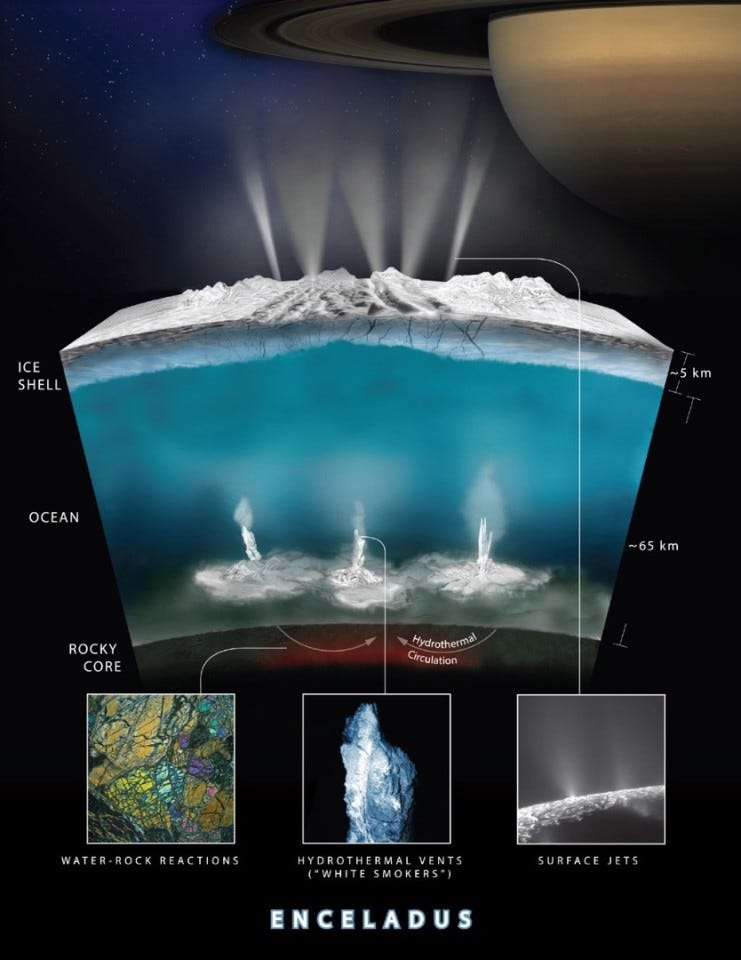 Organic compounds in Enceladus's plumes