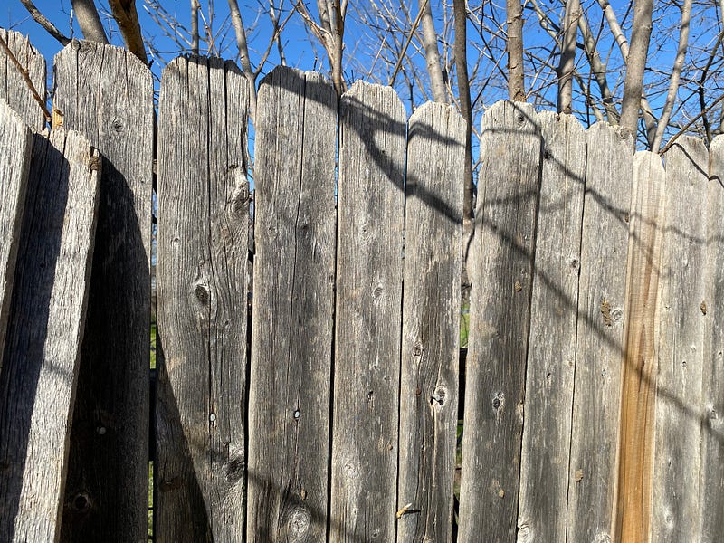 The dilapidated fence needing repairs